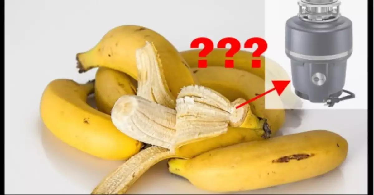 Can You Put Banana Peels in Garbage Disposal?