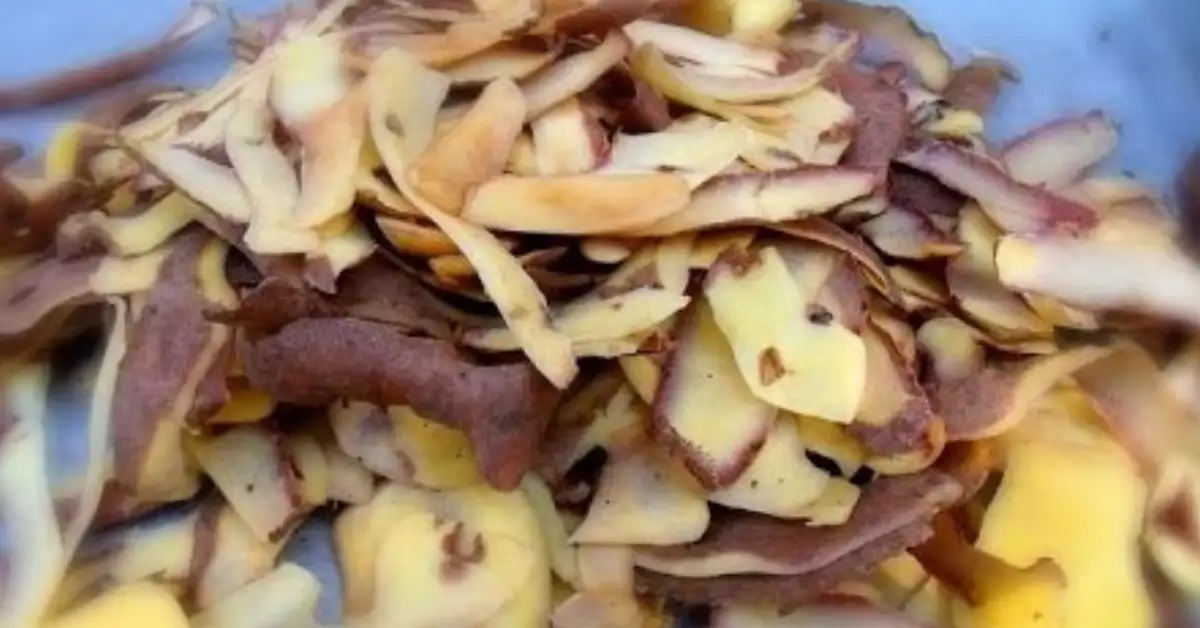 Can You Put Potato Peels in a Garbage Disposal?